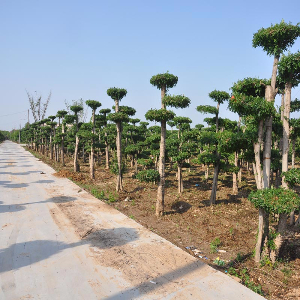 基地實景