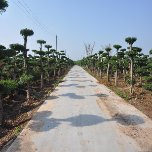 基地實景