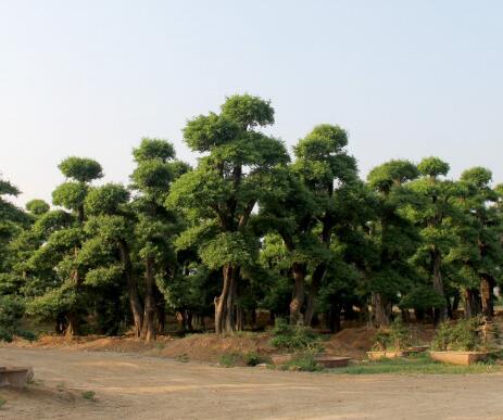 基地實景